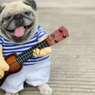 Dog costumed in a blue & white striped shirt playing a ukelele